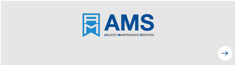 AMS